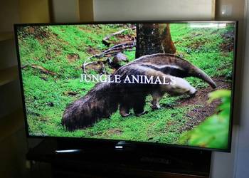 Telewizor Samsung 50 cali