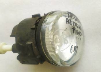 Nissan Almera tino halogen prawy oryginał
