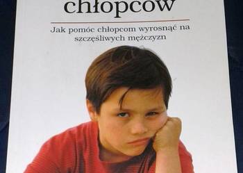 Wychowywanie chłopców - Steve Biddulph