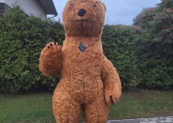 Kostium brązowego misia XXL 2.6m.