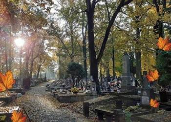 Odstąpię miejsce na Starym Cmentarzu w Grodzisku Mazowieckim