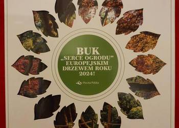Karnet Europejskie Drzewo Roku 2024 znaczek i koperta
