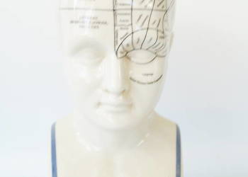 Duża głowa medyczna porcelanowa PHERNOLOGY