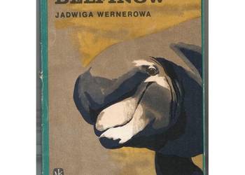 Sekrety Delfinów - Wernerowa Jadwiga