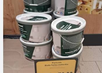 Farba biała matowa parkside 11l