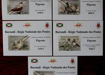 Burundi seria bloków gołębi
