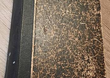 Rumak Światowida - Tadeusz Żuk Skarszewski