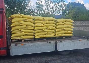 Owies jary Pellet około 50 ton Odmiana Bingo i Rambo Możliwość transportu