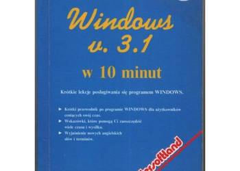 Windows 3.1 w 10 minut - Barnes Kate