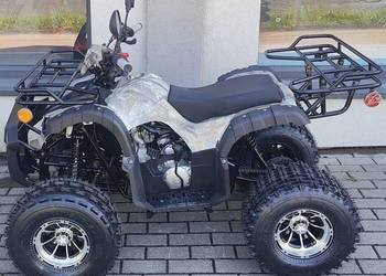 ZIPP ATV KID 125 2026 SALON SERWIS BIELSKO-BIAŁA