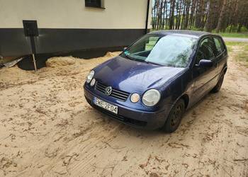 Polo na dojazdy tanio