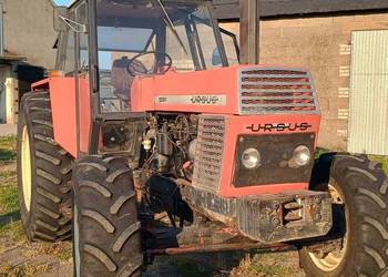 Ursus 1204