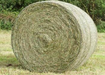 Sprzedam siano sianokiszonke owies oraz słome