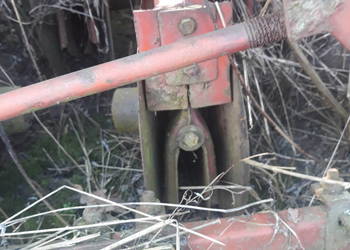 Siewnik rozyjski redlica talerzowa