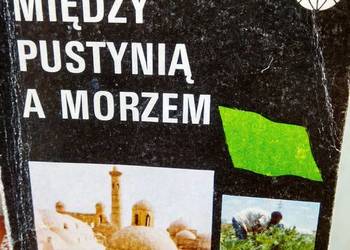 Między pustynią a morzem książka outlet używane antykwariat