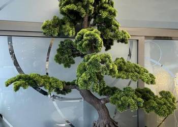 Sztuczne drzewko Bonsai Premium 185x80x185