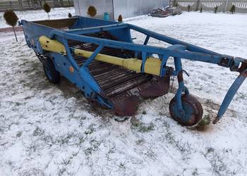 Kopaczka elewatorowa koparka ziemniaki warzywa chrzan cebula czosnek