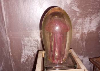 Szklany przycisk do papieru z meduzą