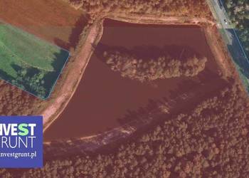 [12,91 ha] stawy rybne, przetarg na dzierżawę