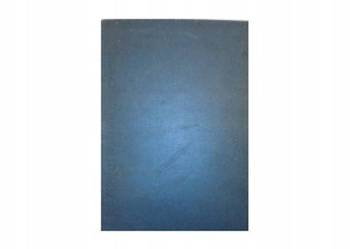 Zanim pojawił się człowiek