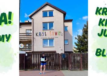 Króliczy hotelik w Warszawie - opieka 24h