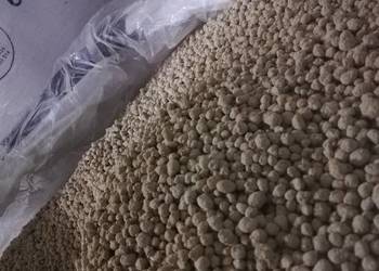 Produkcja i dystrybucja wapno granulowane