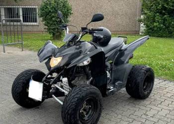 Aeon cobra 320 homologacja 2015 rok