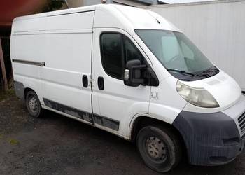 Fiat Ducato chłodnia