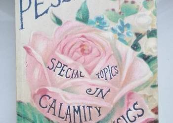 "Special topics in calamity physics"