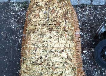 Zrębki Zrębka owocowa