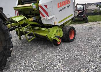 Sprzedam prase class