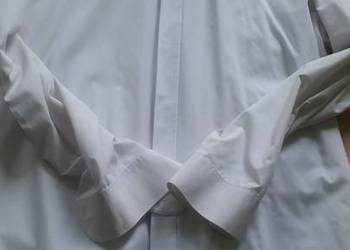 43, 182-188, XL, andre, koszula męska z kołnierzykiem,
