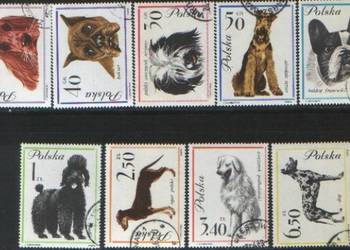 Zn. Fi 1226 - 34 kas 1963