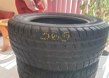 Opona GT-Radial Champiro WT-AX    185/60r14
