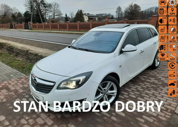 Opel Insignia / PEŁNA OPCJA / Serwis ASO / Zarejestrowana! A (2008-2017)