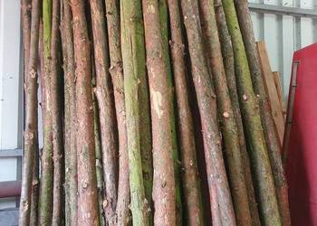 Stemple, kołki, słupki, żerdzie