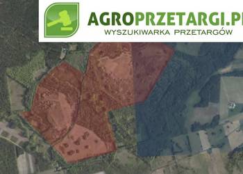 Dzierżawa 66,10 ha gruntu rolnego/stawu