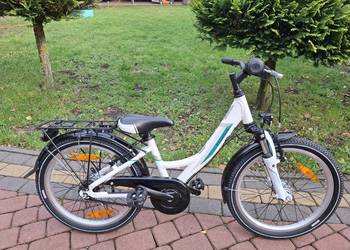 Rower dzieciecy Pegasus