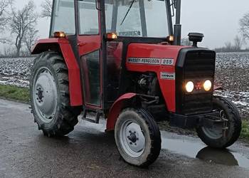 Massey Ferguson 255