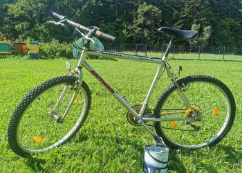 Rower MTB marki Author, model Detroit,