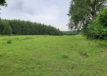 Kompleks działek 8,4ha z 8 WZ na Warmii, Krekole, powiat lidzbarski