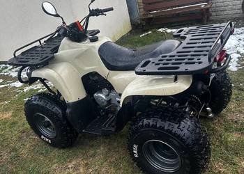 Quad Reinmech mt 175 - duży ! bdb stan !