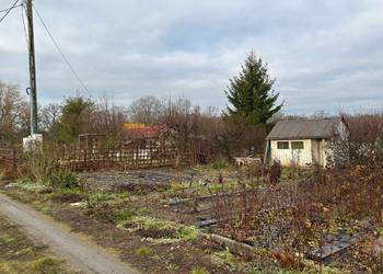 Działka ROD "Związkowiec" Wrocław ul. Przejazdowa