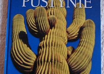 Pustynie