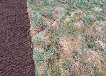 Glebogryzarka separacyjna