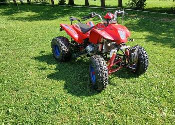 Bashan 250-11b