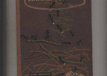 Zwierzęta są inne - Bauer