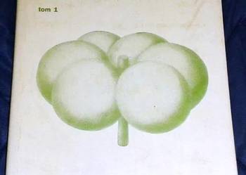 Biochemia roślin. Tom 1 - Jerzy Kączkowski