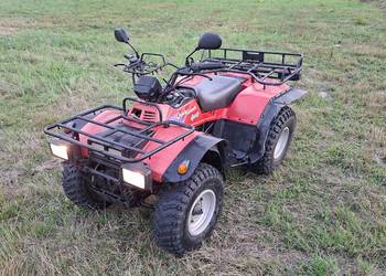 Quad Suzuki Quadrunner LT-F250 2WD 4WD 4x4