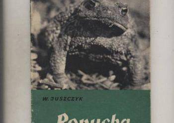 Ropucha - Juszczyk